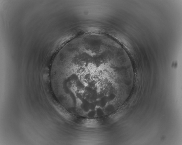 X0000090730361200707271409