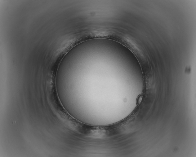 X0000090730362200707271409