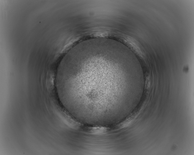 X0000090730363200707271409
