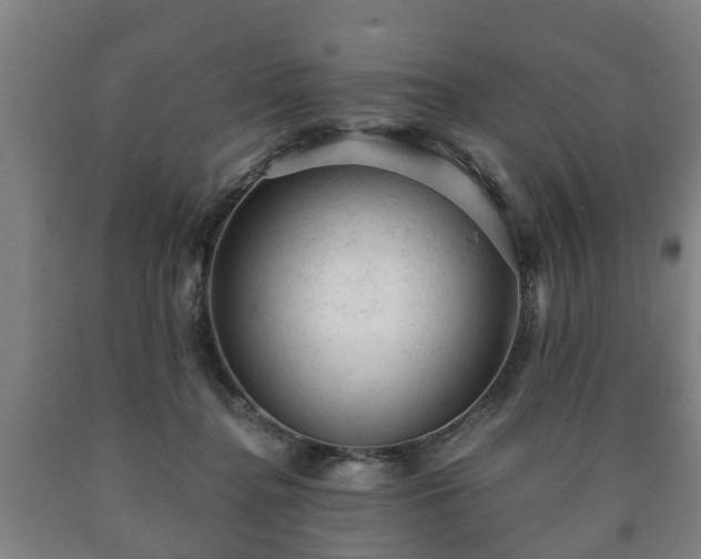 X0000090730364200707271409
