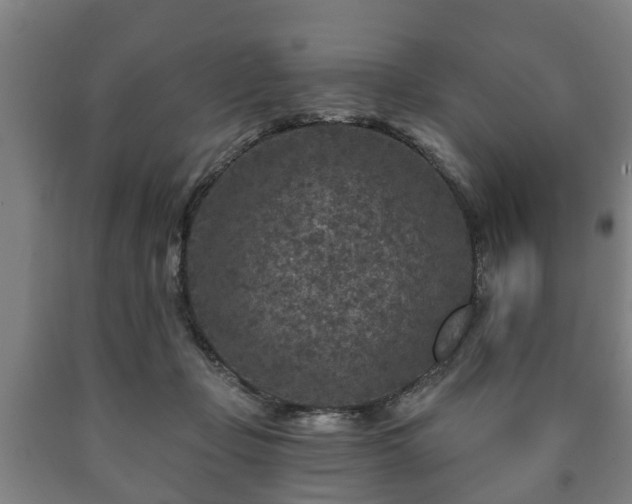 X0000090730365200707271409