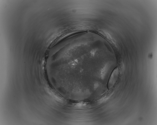X0000090730366200707271409