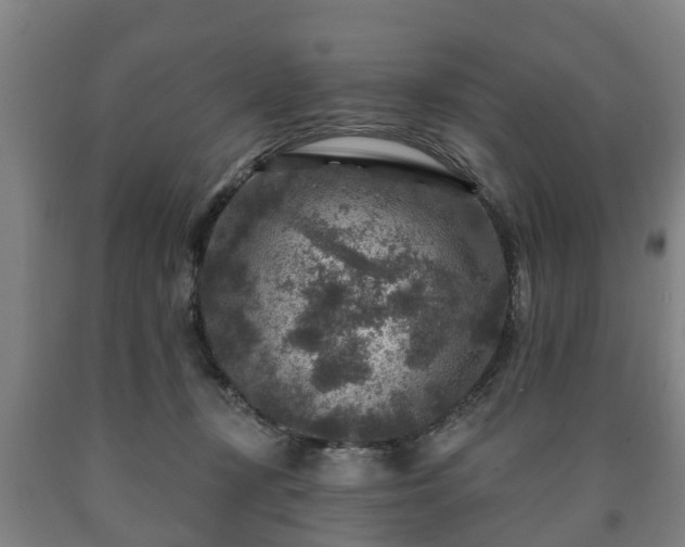 X0000090730367200707271409