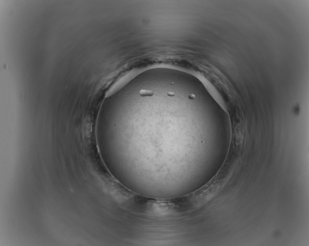 X0000090730372200707271409