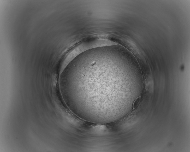 X0000090730374200707271409