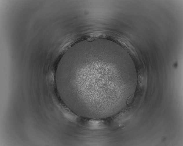 X0000090730375200707271409