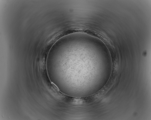 X0000090730376200707271409