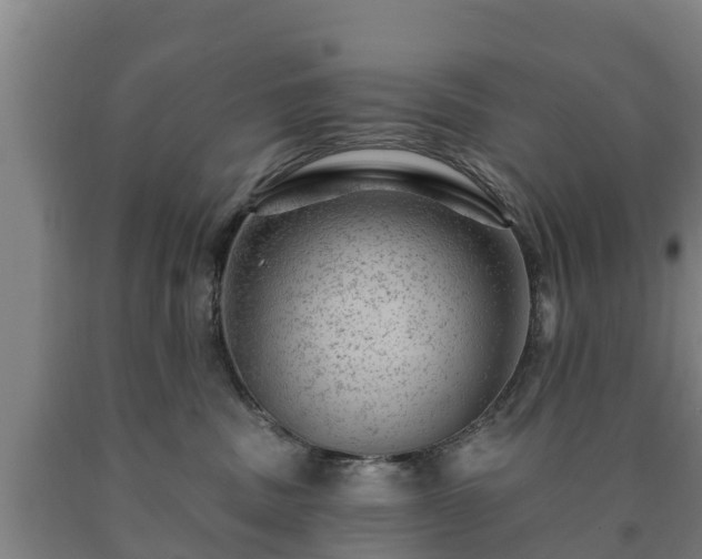 X0000090730379200707271409