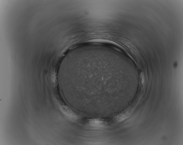 X0000090730380200707271409