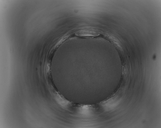 X0000090730382200707271409