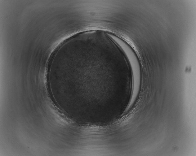 X0000090730387200707271408