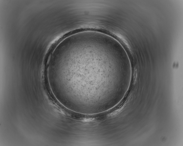 X0000090730388200707271408