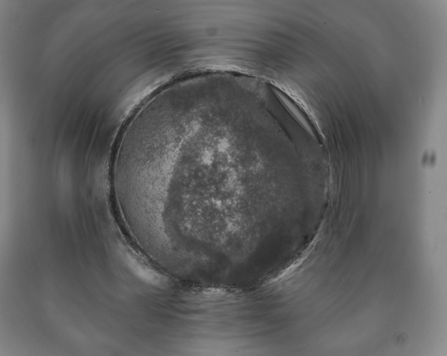 X0000090730390200707271408