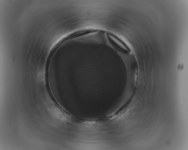 X0000090730391200707271408