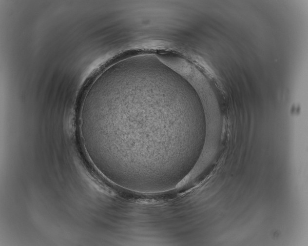 X0000090730392200707271408