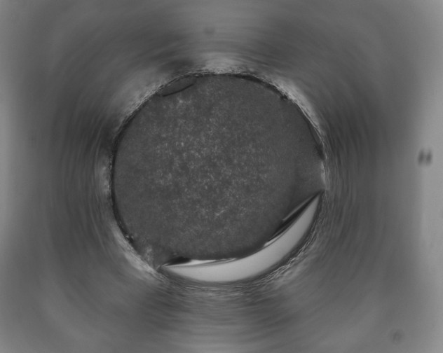 X0000090730393200707271408