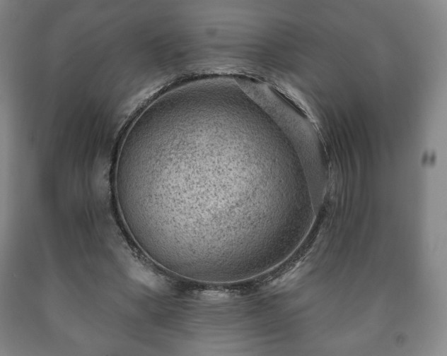 X0000090730394200707271408