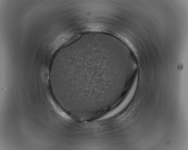 X0000090730397200707271408