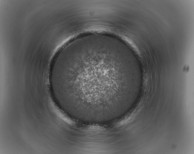 X0000090730399200707271408