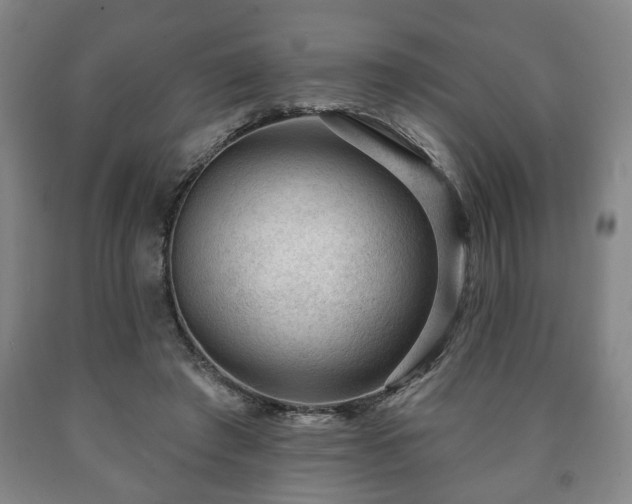 X0000090730401200707271408