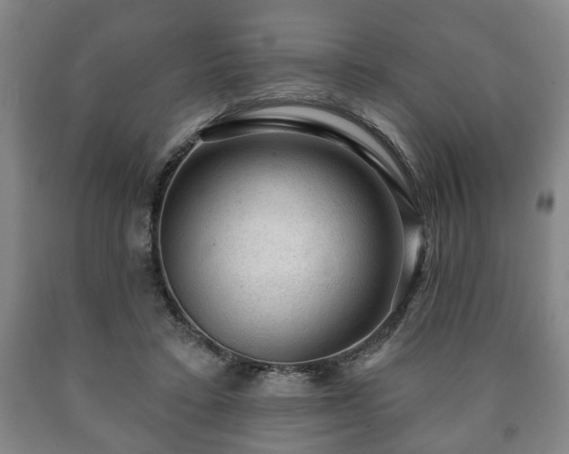 X0000090730403200707271408