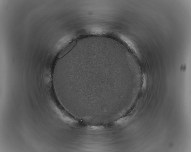 X0000090730407200707271408