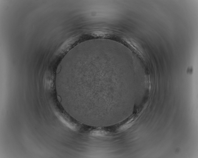 X0000090730408200707271408