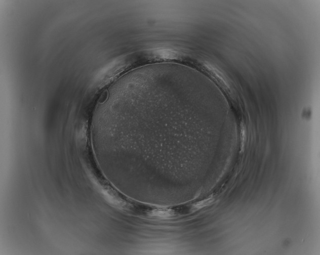 X0000090730410200707271408