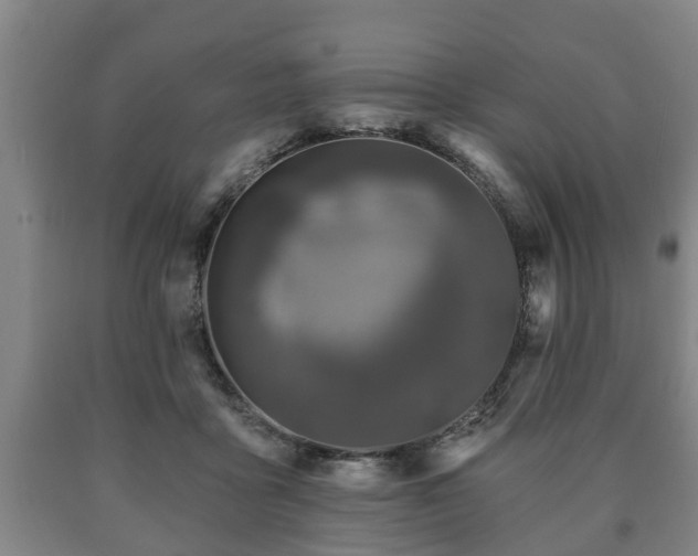 X0000090730411200707271408