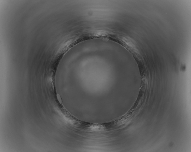 X0000090730415200707271408
