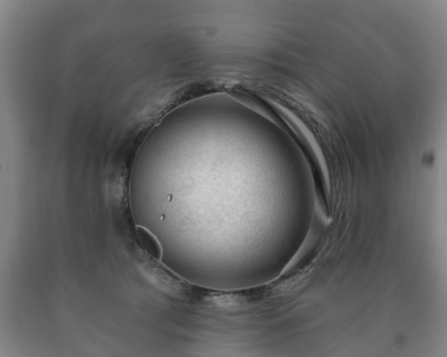 X0000090730417200707271408