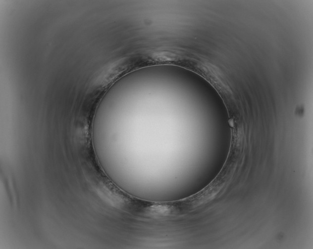 X0000090730418200707271408