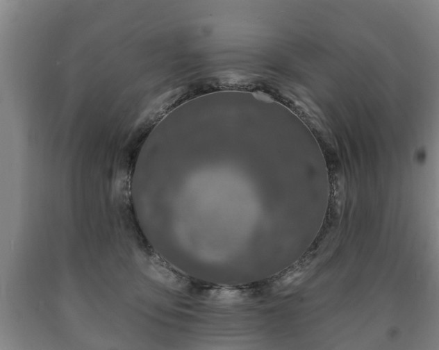 X0000090730419200707271408