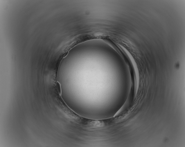 X0000090730421200707271408