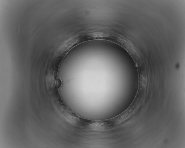X0000090730422200707271408