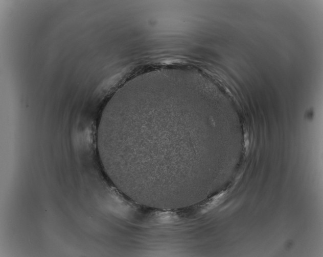 X0000090730424200707271408