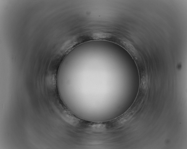 X0000090730426200707271408