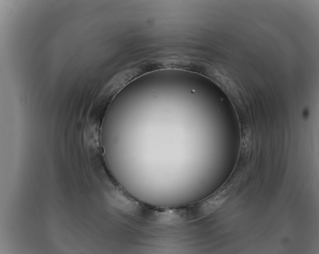 X0000090730430200707271407
