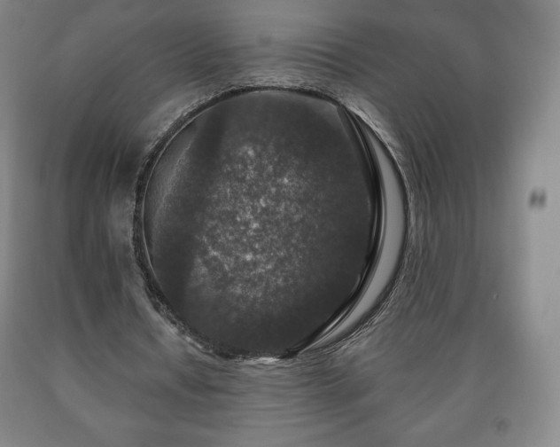 X0000090730434200707271407