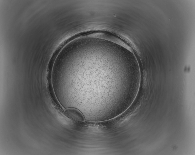 X0000090730439200707271407