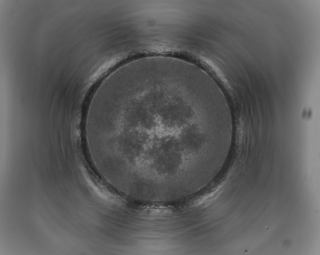 X0000090730443200707271407