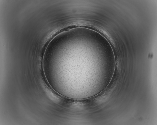 X0000090730445200707271407
