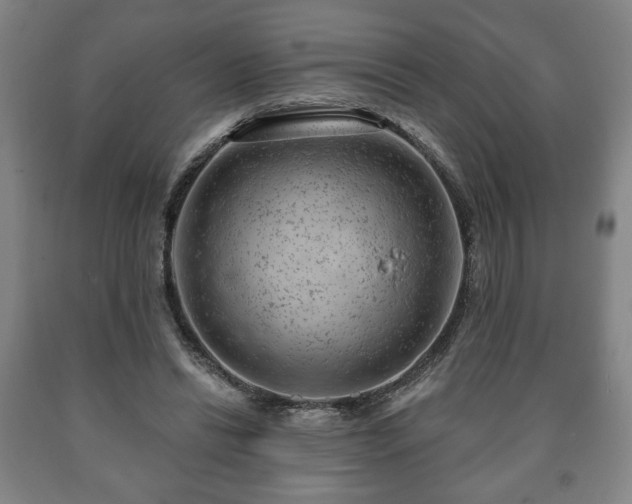 X0000090730446200707271407