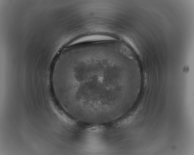 X0000090730447200707271407
