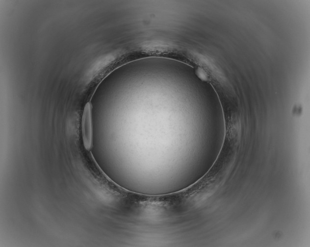 X0000090730448200707271407