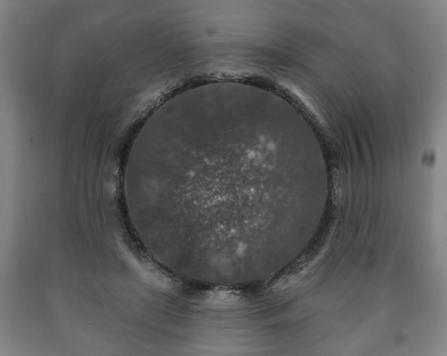 X0000090730451200707271407