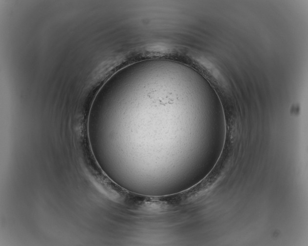X0000090730455200707271407