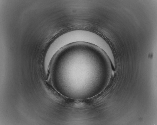 X0000090730456200707271407