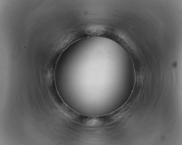 X0000090730460200707271407