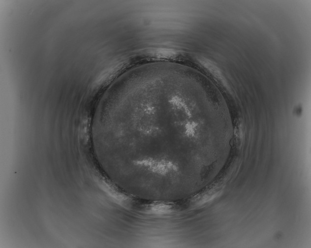 X0000090730462200707271407